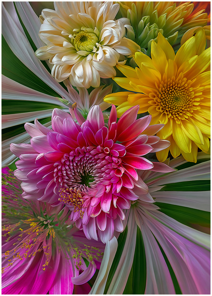 Mixed Flowers composed  in Photoshop 
